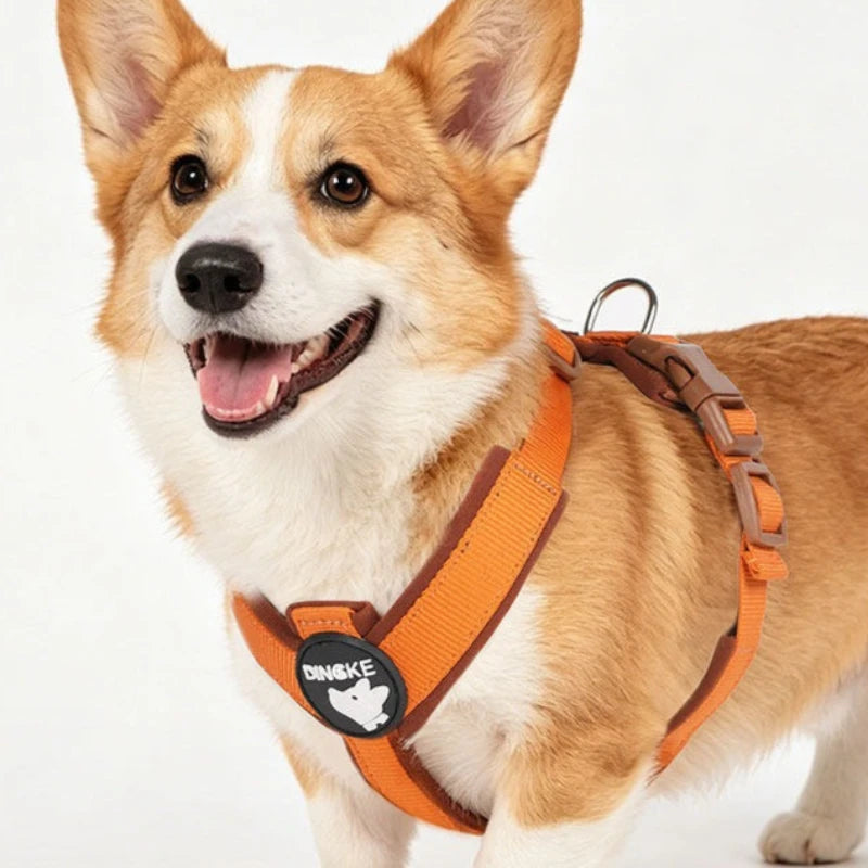 A happy Shiba Inu dog wearing an orange breathable no-pull harness with reflective strips.