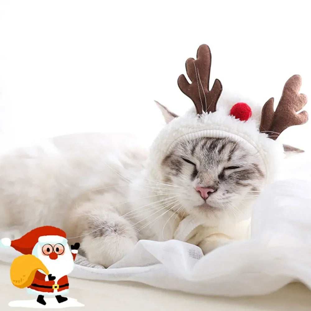 Gato blanco vistiendo un traje navideño con Santa, astas de ciervo y accesorios de cachorro.