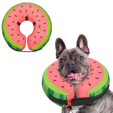 Collier de récupération gonflable en forme de tranche de pastèque pour chien