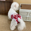 A fluffy white dog is wearing a red polka-dot reusable diaper with a sheer mesh panel.