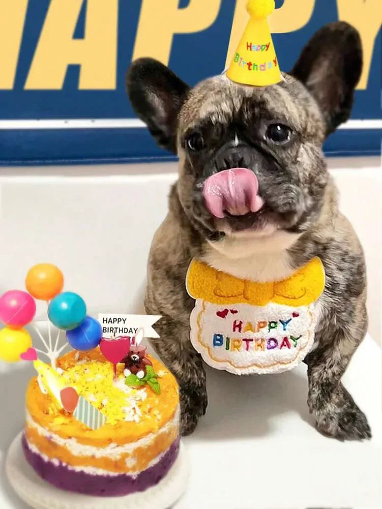 Un chien pug gris portant un chapeau de fête jaune et un tablier de fête à volants avec un gâteau coloré au premier plan.