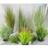 Collection de mini-plantes d'oignon vert vif et aux pointes rougeâtres, présentées dans un jardin.