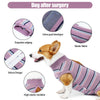 A dog wearing a purple and striped protective recovery suit featuring an exquisite edge, velcro design, and high elastic neck