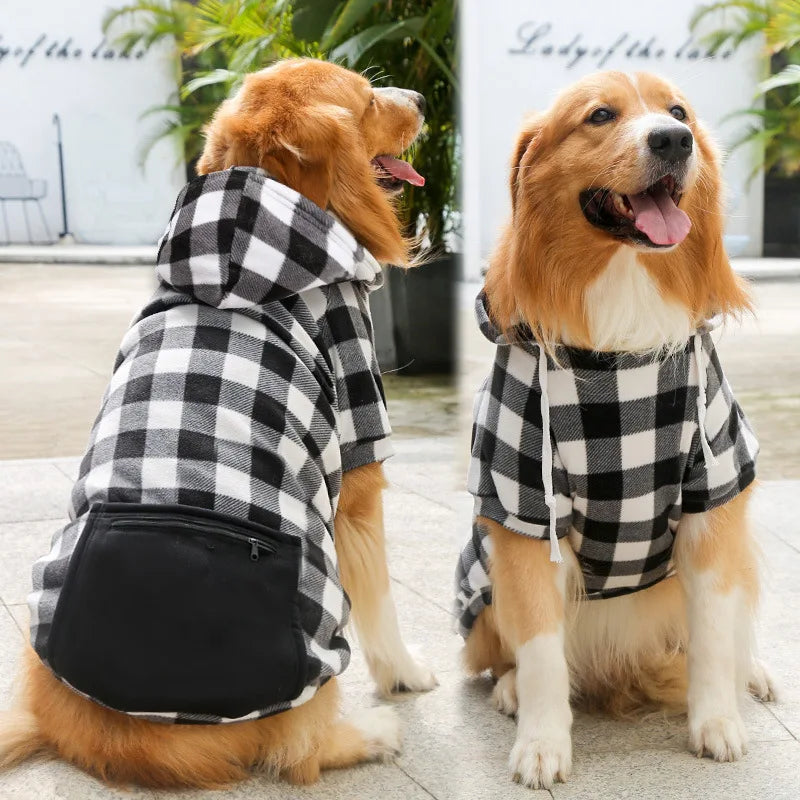 A golden retriever wearing a black and white plaid reversible jacket sits outdoors.
