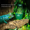 A green filter fountain lures lizards to drink, with a lizard visible near the feeding area.