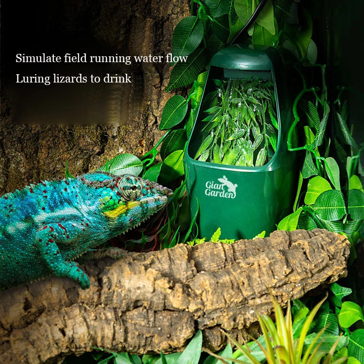A green filter fountain lures lizards to drink, with a lizard visible near the feeding area.