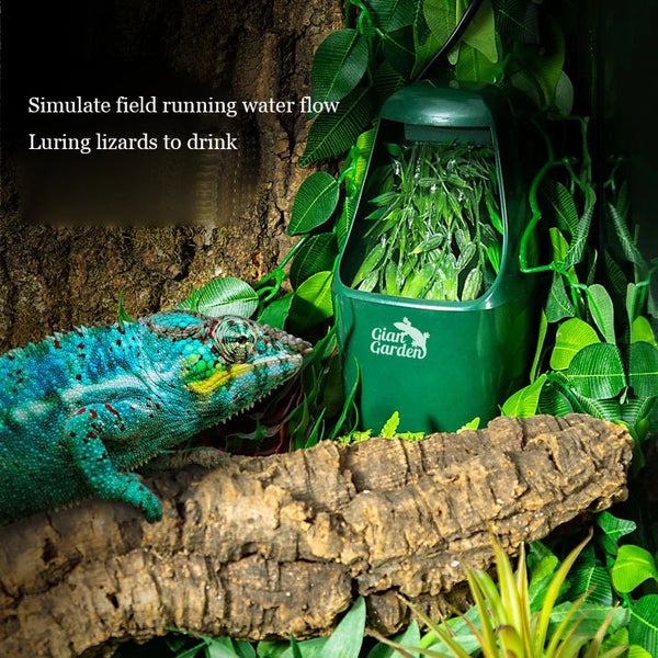 A green filter fountain lures lizards to drink, with a lizard visible near the feeding area.