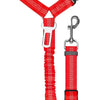 Red automatic retractable dog leash with buckle and clip attached