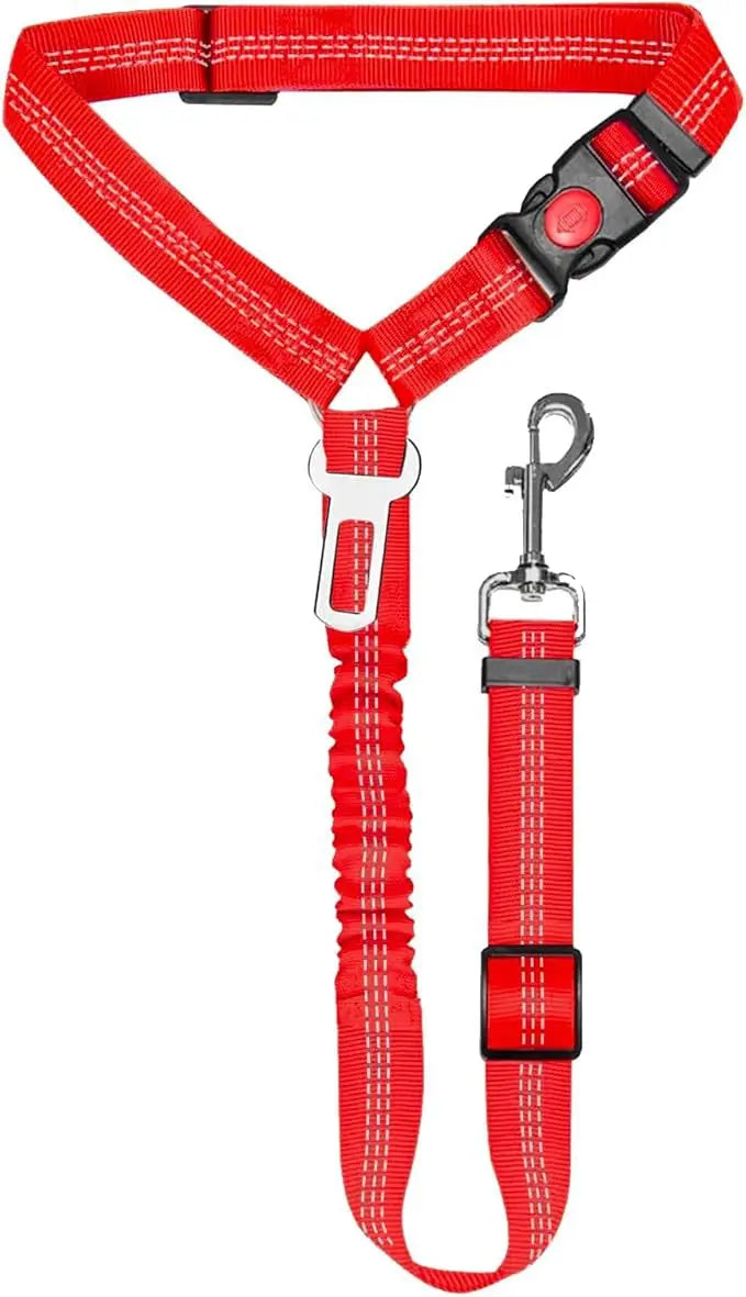 Red automatic retractable dog leash with buckle and clip attached