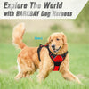 A golden retriever wearing a black and red Barkbay dog harness in a grassy outdoor setting.