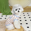 A white poodle wearing a striped cooling vest with blue trim sitting on a light-colored surface.