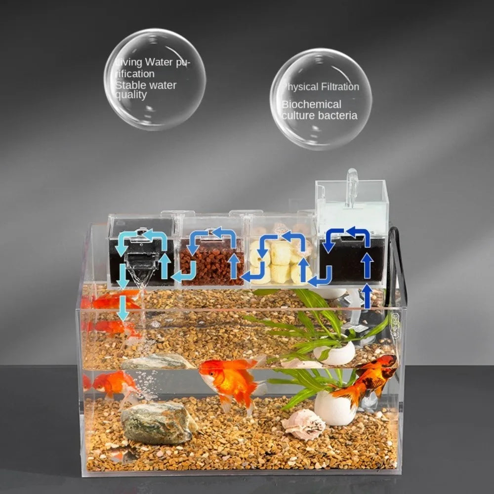 A clear aquarium filter setup showing a fish tank with gravel and plants, alongside diagrams illustrating water purification 