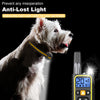 Hund mit Anti-Verlust-Licht-Halsband, Fernbedienung sichtbar.