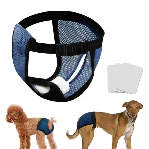 Reusable washable dog diapers for female dogs with absorbent pads shown alongside a black harness and a dog.