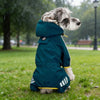 A light-colored dog is wearing a teal waterproof raincoat outdoors in the rain.