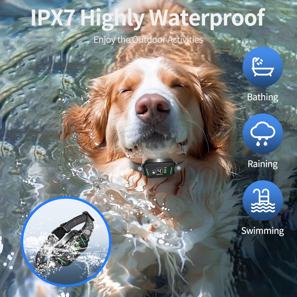 A golden retriever enjoys water activities while wearing an adjustable dog bark collar.
