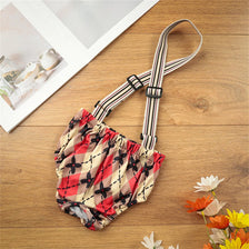 A pair of striped reusable dog physiological shorts laid on a wooden surface.