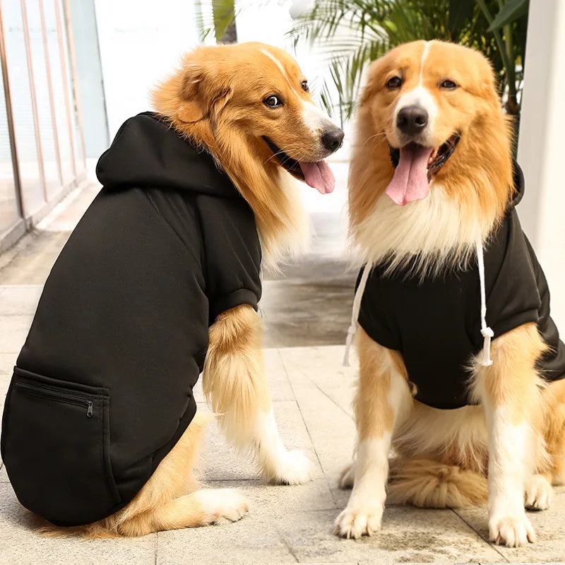 A golden retriever wearing a black hooded jacket sitting on a tiled floor.
