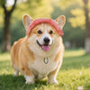 A fluffy Shiba Inu dog wearing a pink sun hat with ear holes, standing in green grass.
