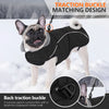 A black dog coat with a traction buckle matching design worn by a French Bulldog in a snowy outdoor setting.
