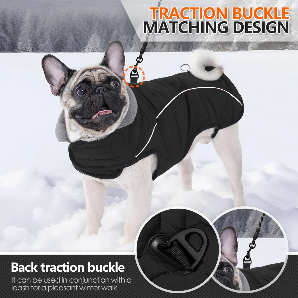 A black dog coat with a traction buckle matching design worn by a French Bulldog in a snowy outdoor setting.