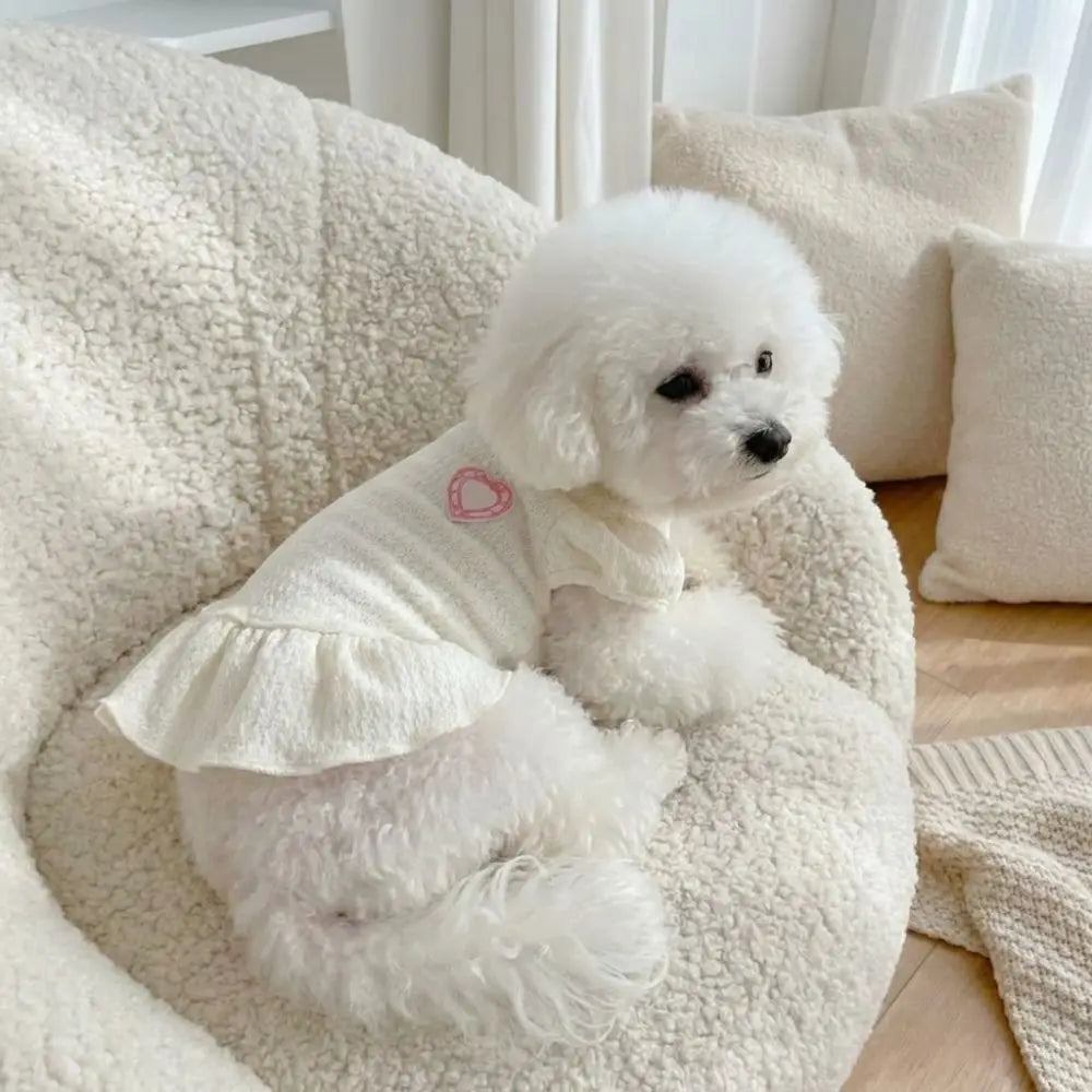 Un chien blanc duveteux portant une robe rose à manches flottantes, assis sur un canapé crème texturé.