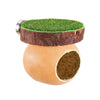 Mini magnetic spider hide decor featuring a green felt top and a natural wood base.