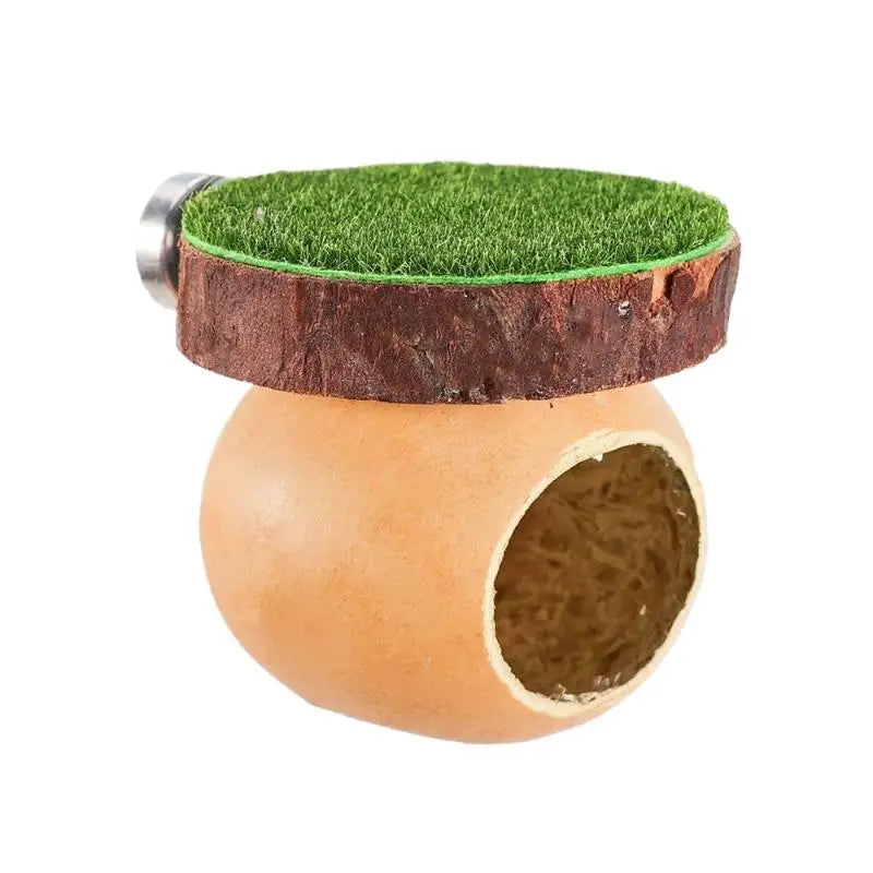 Mini magnetic spider hide decor featuring a green felt top and a natural wood base.