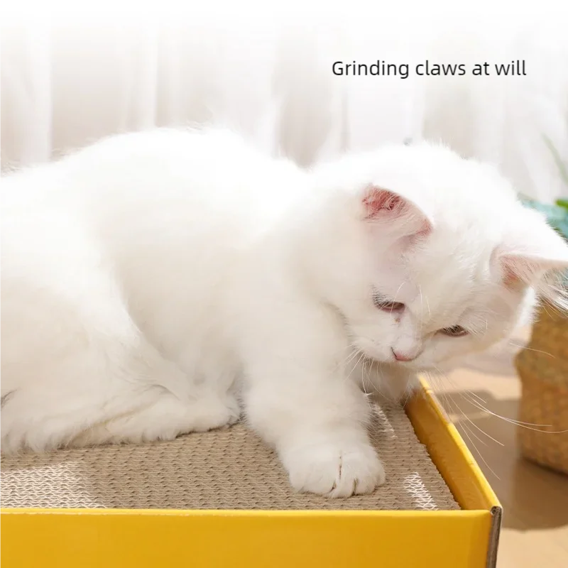 A white kitten is shown using a double-layer cat scratching house made of corrugated paper cardboard.