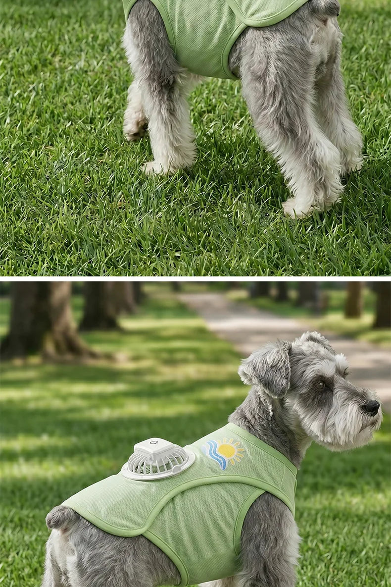 A gray dog wearing a light green cooling vest with a built-in fan outdoors.