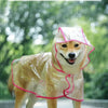 Un chien brun clair portant un imperméable transparent en marchant dehors sous la pluie.