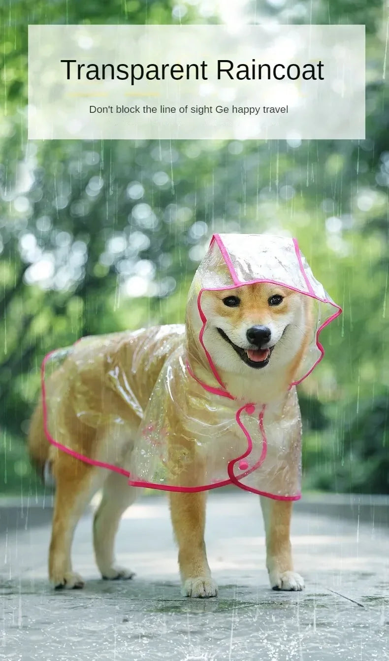 Un chien brun clair portant un imperméable transparent en marchant dehors sous la pluie.