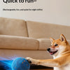 A Shiba Inu dog is playing with a blue chew ball on a wooden floor.