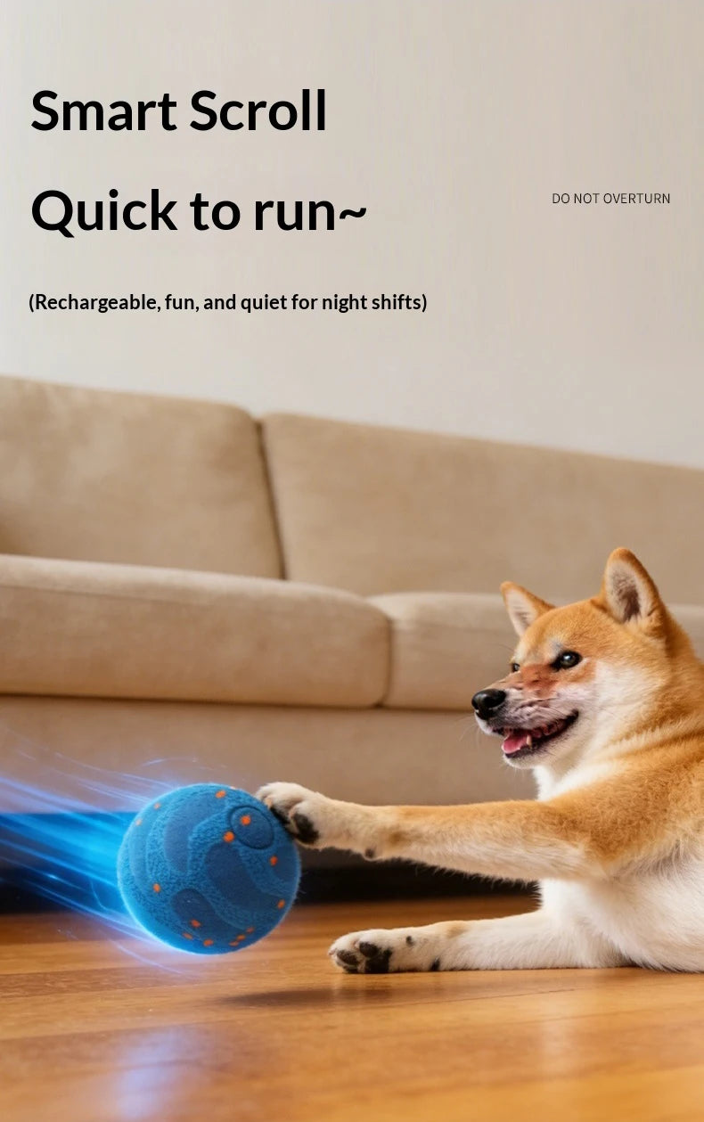 A Shiba Inu dog is playing with a blue chew ball on a wooden floor.