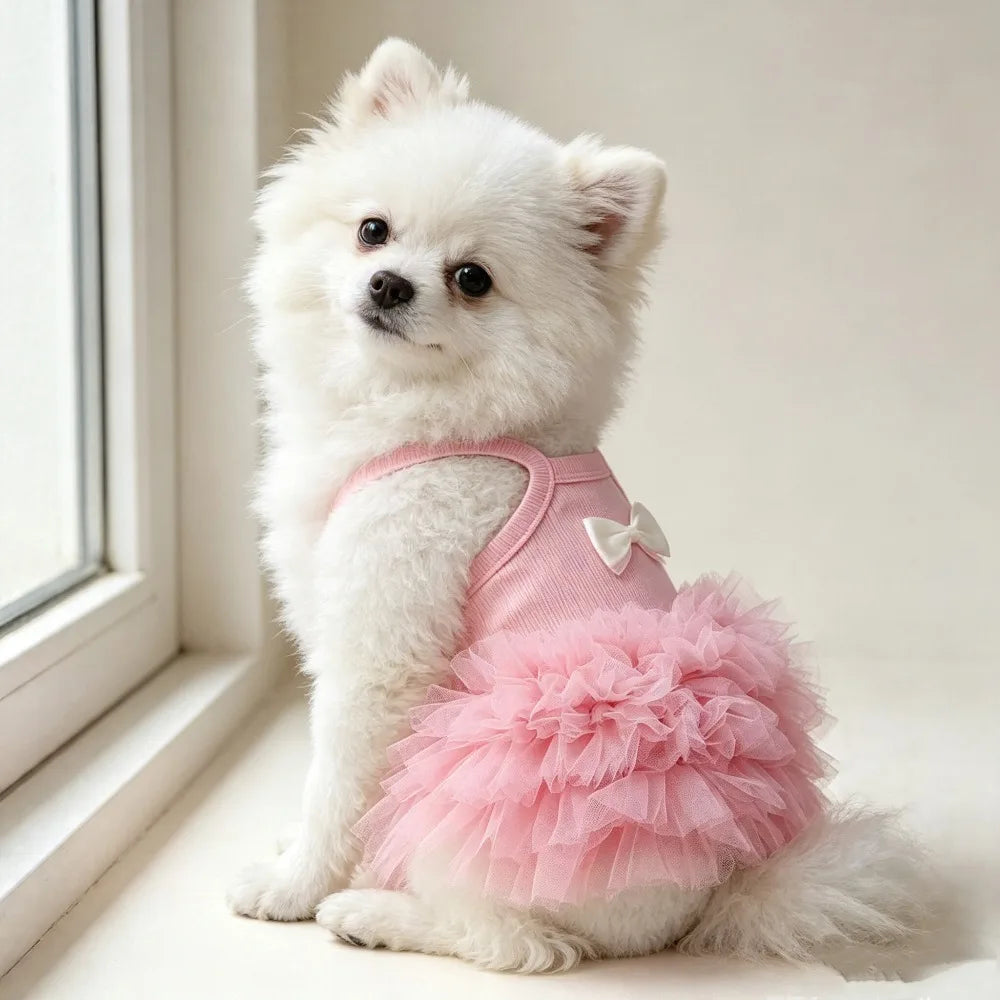 A fluffy white dog wearing a pink suspender tutu dress sitting by a window.
