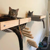 A tabby cat is perched on a natural wooden wall shelf and climbing perch system.