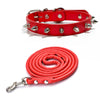A red studded leather dog collar with metal rivets shown flat and coiled.