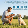 A man is training a golden retriever dog using a professional remote training device with various stimulation modes.