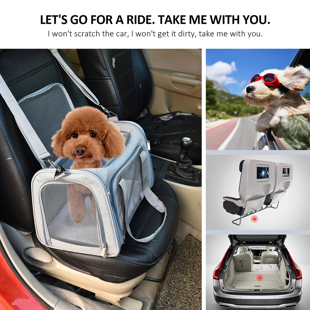 A fluffy dog is sitting inside a gray travel pet carrier bag in the back seat of a car.