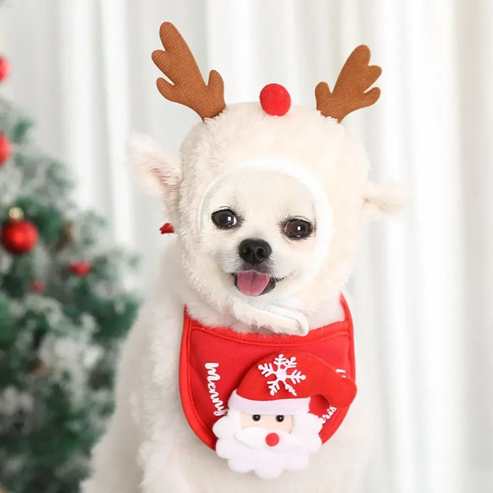 Un cachorro blanco con disfraz navideño de Santa, astas de ciervo y una camisa roja con diseño de copo de nieve blanco.