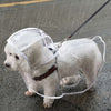 Un perro blanco vistiendo un impermeable transparente mientras camina bajo la lluvia.