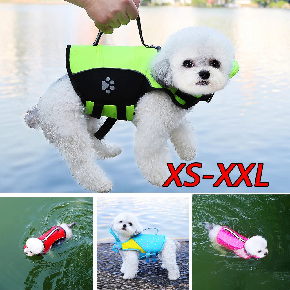 A white poodle wearing a neon green life vest is being held by a hand, with smaller versions shown below.