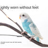 A small blue and white parrot is perched on a wooden branch, gripping an ultra-light traction rope.