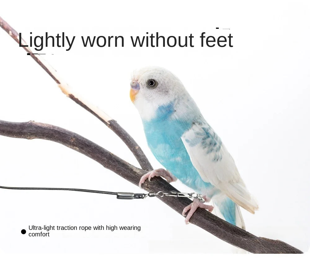 A small blue and white parrot is perched on a wooden branch, gripping an ultra-light traction rope.