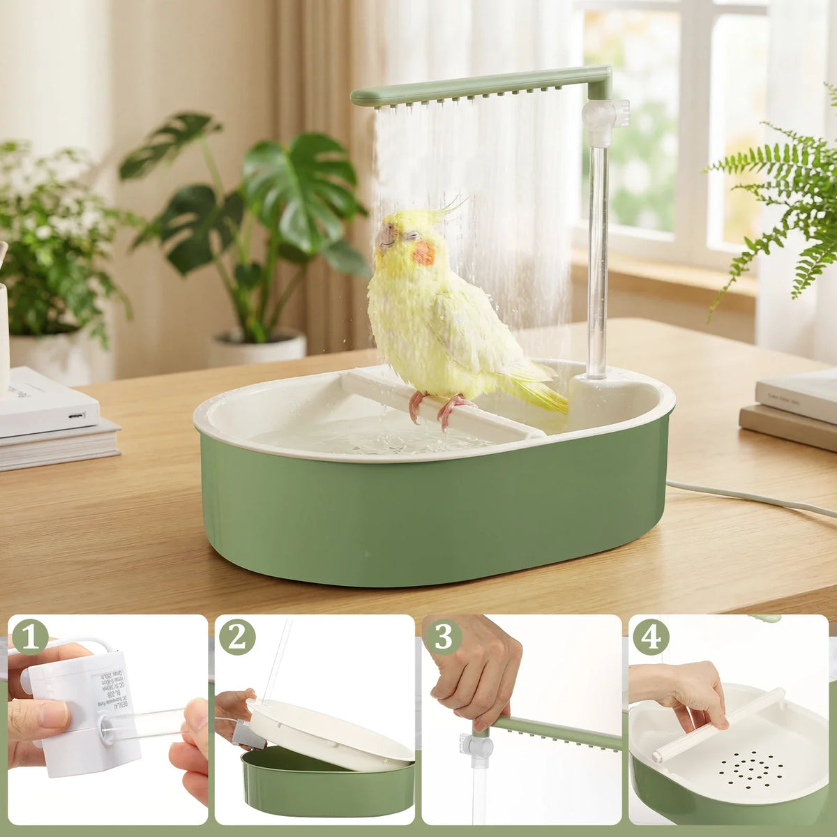 A green automatic bird shower bath for parrots shown with various components and usage context.