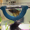 A brown betta fish is resting inside a blue 3D printed floating hammock for aquarium decor.