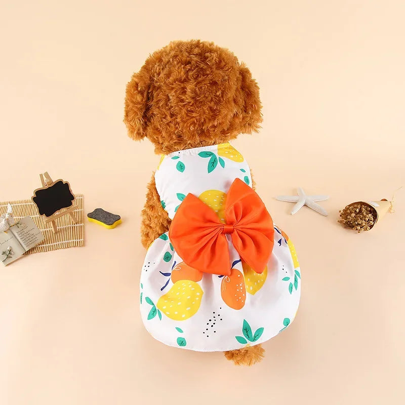 A fluffy brown dog wearing an orange bow dress with yellow and orange floral accents.