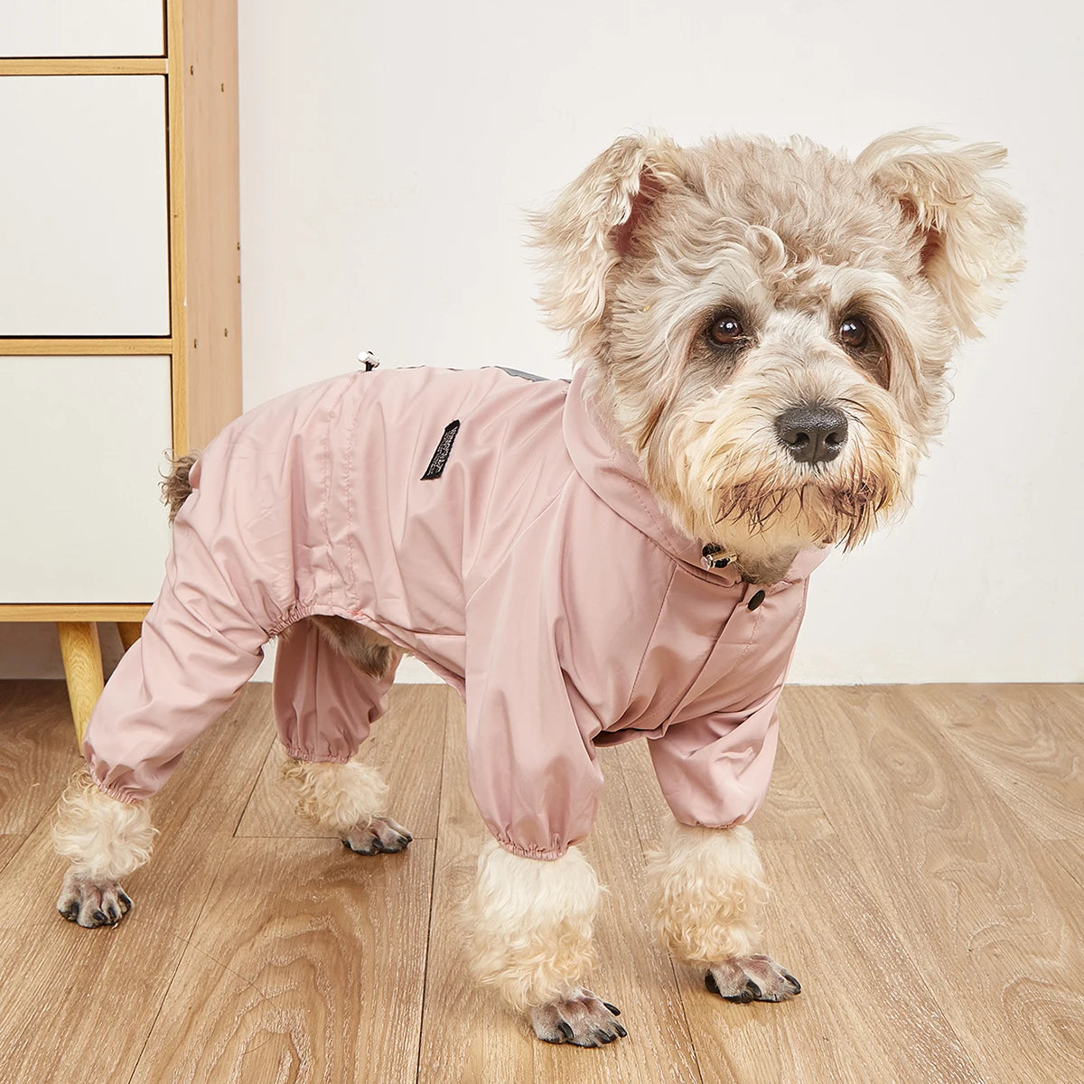 A fluffy, light brown dog wearing a pink waterproof raincoat and jumpsuit standing on a wooden floor.