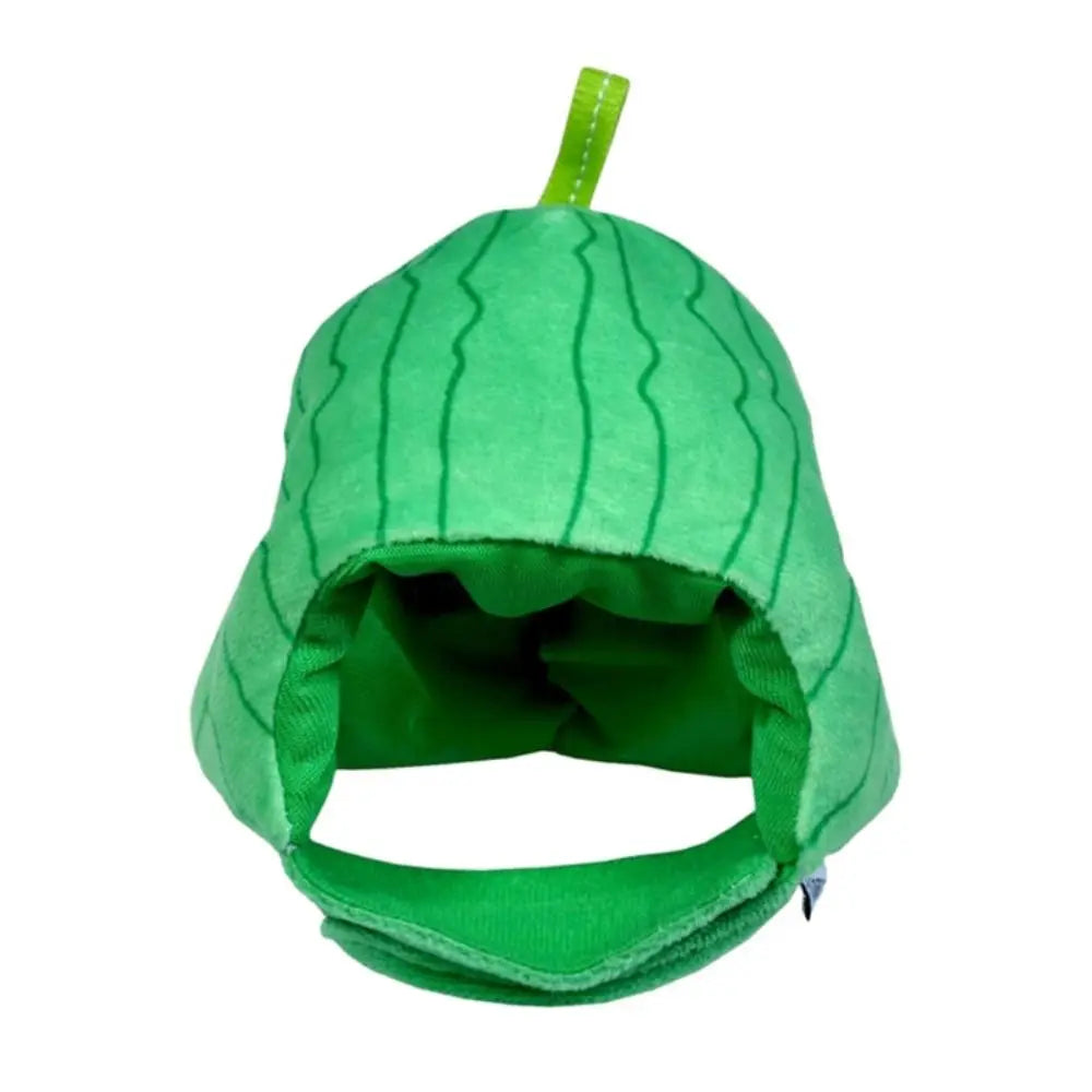 A bright green, fruit-shaped pet hat for cats and dogs with a loop on top.
