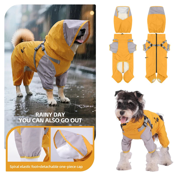 Un impermeable para perro de doble capa amarillo dorado con arnés y pie elástico espiral, mostrado en un perro bajo la lluvia